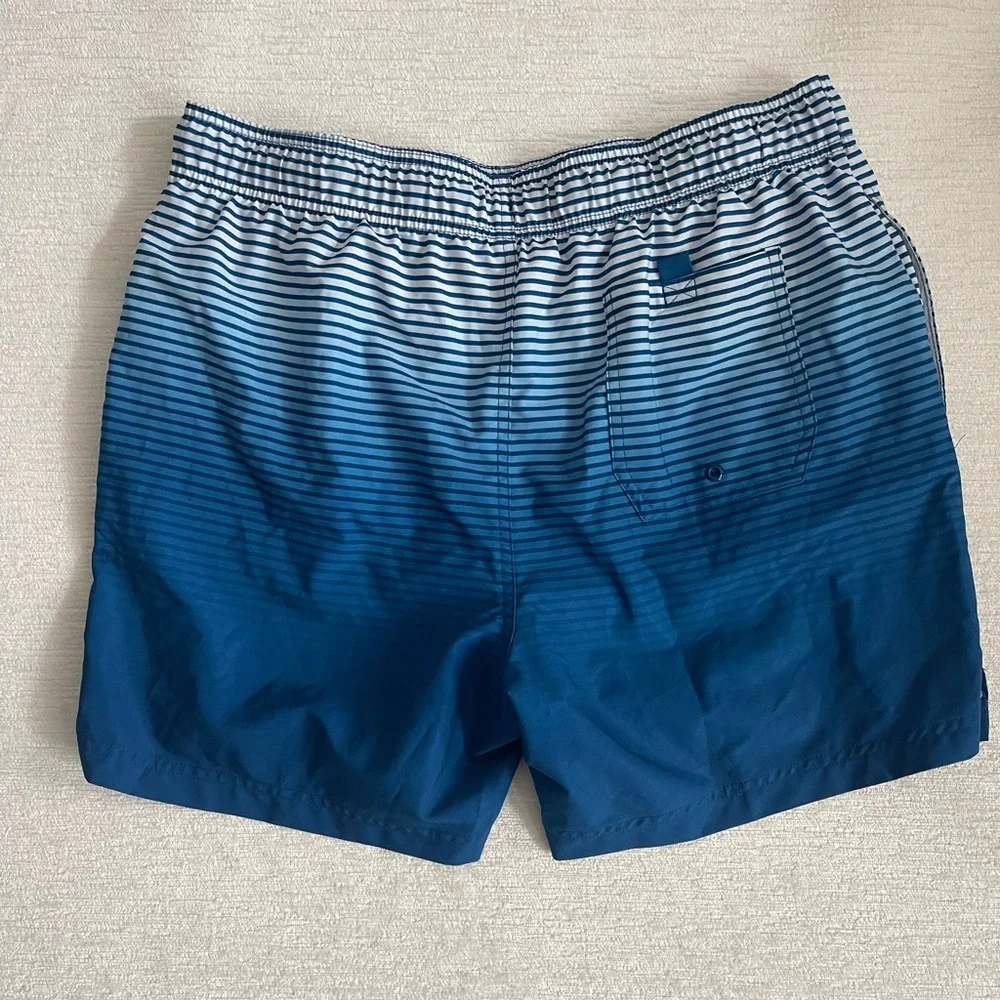 George Blue Ombre Stripe Swim Trunks